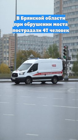 В Брянской области при обрушении моста пострадали 47 человек