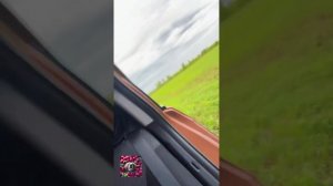 Как с девочками выехали на природу!