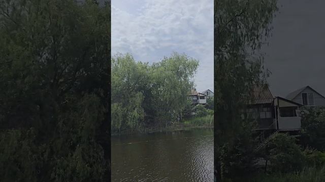 Выходные.mp4