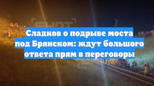 Сладков о подрыве моста под Брянском: ждут большого ответа прям в переговоры