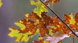 Красота ветра 15