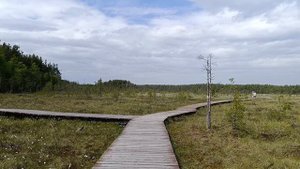 прогулка) покупки) я вернулась))