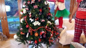 Miss Katy • Мисс Кейт - Кэти и Макс нарядили дом к Рождеству