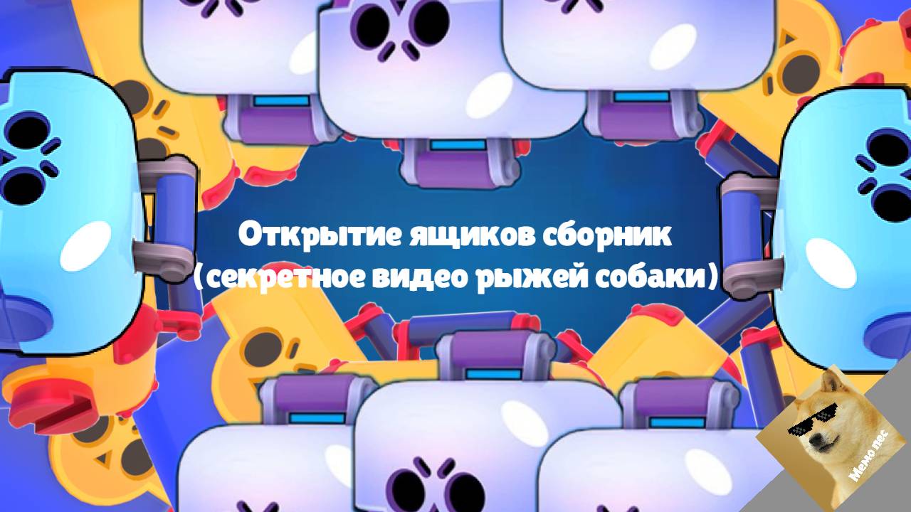 Открытие ящиков сборник (секретное видео рыжей собаки)