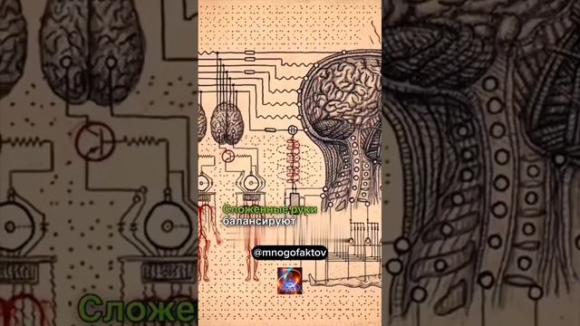 #интересныефакты