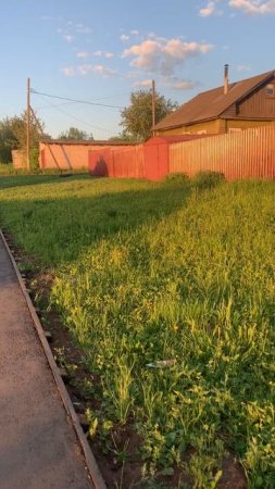 Walking through the beautiful village: зеленая трава