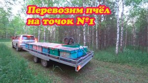 ПЕРЕВОЗИМ ПЧЁЛ НА КОЧЁВКУ, ТОЧЁК №1