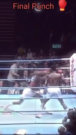 Лучшие нокауты Подпишись и ставь лайк #ufc #mma #youtube #sports #tiktok #shortsvideo #russia #box