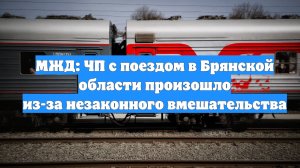 МЖД: ЧП с поездом в Брянской области произошло из-за незаконного вмешательства