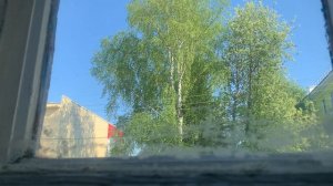 The weather outside the window in our village: русские березы и чистое небо