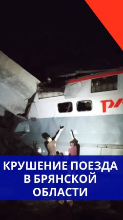 «Там дети кричат!»: первые минуты после обрушения моста в Брянской области. Жуткие кадры