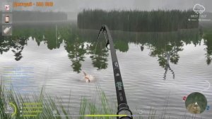 РР4 КАРП ЗЕРКАЛЬНЫЙ 34кг.МЕДВЕЖКА.РЕКОРД НЕДЕЛИ.