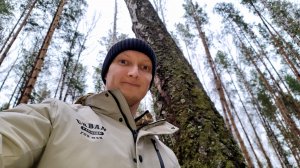 Лебеди | Кровь злых людей | Рассада цветов | Первые отгрузки цветов
