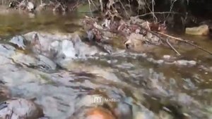 Осторожно мошенники! Развод в соцсетях