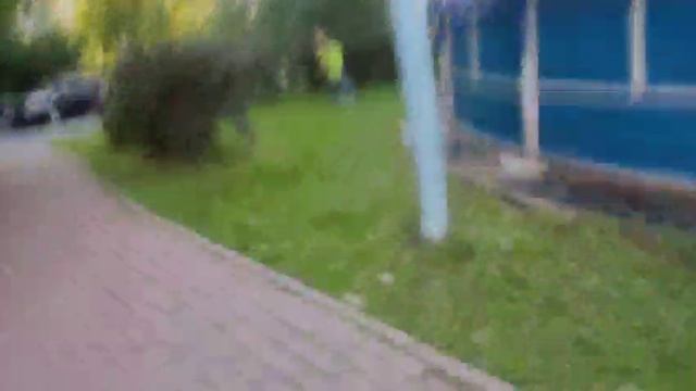 погоня