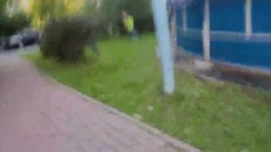 погоня