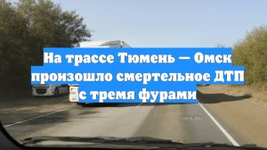На трассе Тюмень — Омск произошло смертельное ДТП с тремя фурами