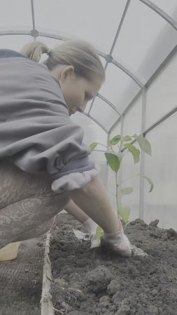 обязательный летний вайб