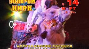 Реклама ЦИРК АСТРАХАНЬ