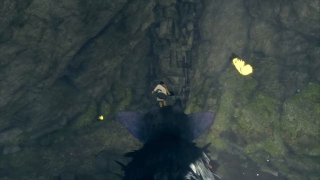 Last guardian#1 прохождение без коментариев