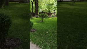 02-06-2025