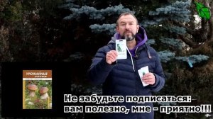 ВСЕ ГОНЯЮТСЯ ЗА ЭТИМИ СОРТАМИ! Хватит и 3 огурчиков на 2 семьи! Посадите хотя бы по 1 растению.