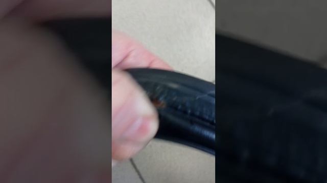 162-319 Уплотнитель проема двери багажника смотреть онлайн