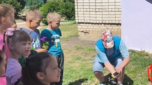 цветы жизни смотреть онлайн