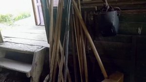 Восточная