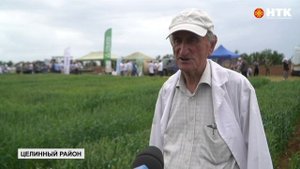 День поля в Целинном районе собрал специалистов в области растениеводства