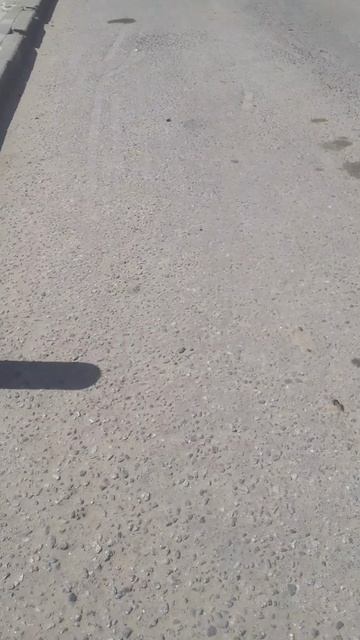 Скибиди рофл 5 (Скибиди рофл)