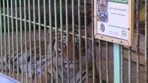 Туркомплекс с зоопарком и минеральным источником ждет тюменцев и гостей города