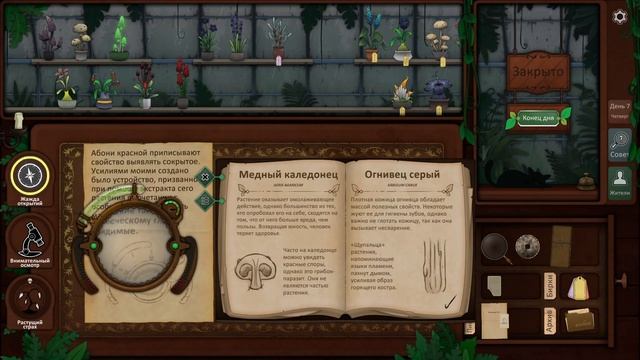 Strange Horticulture  5  Загадочные символы