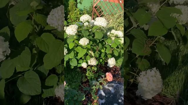 Уютный уголок) смотреть онлайн