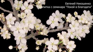 Молитвенная пропитка 8 - Евгений Никошенко (с семинара "Покой в благодати")