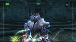 Lineage 2 - Глас Судьбы/Аватар (самый не популярный класс) М