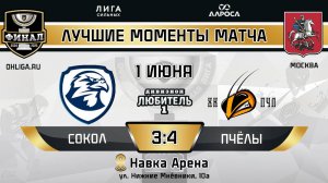 ОБЗОР / СОКОЛ - ПЧЁЛЫ / 01.06.25 / ОХЛ МОСКВА / ДИВИЗИОН ЛЮБИТЕЛЬ 1