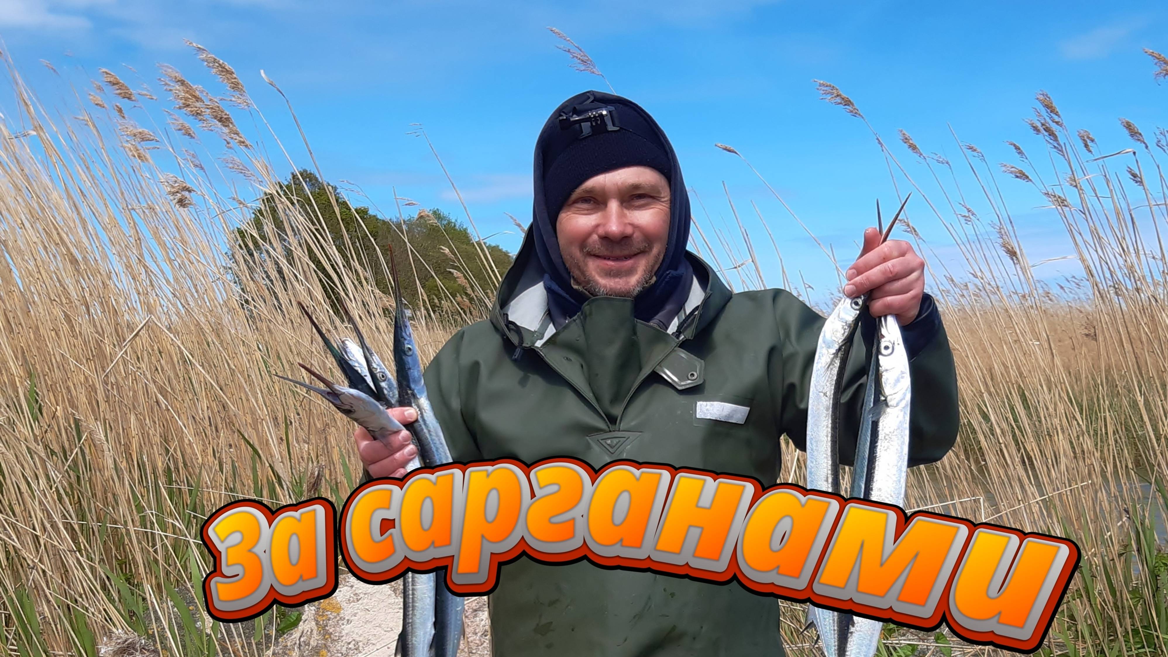 За сарганами-удачный день!