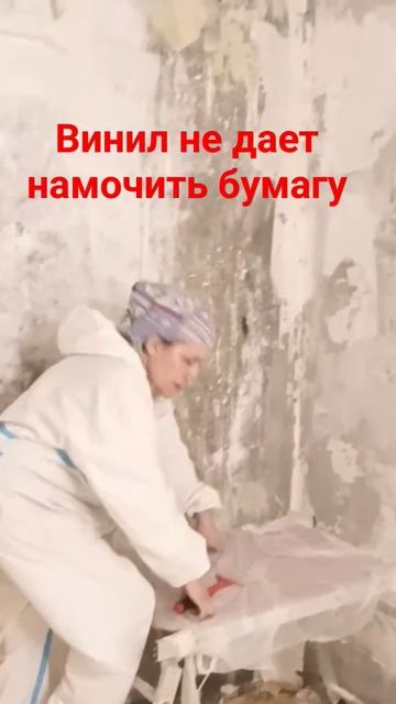 Демонтаж обоев , этапы #демонтажобоев #скребок #подмос? смотреть онлайн