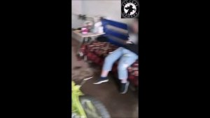 Русская Община объединяет русских людей всех возрастов и профессий, стремящихся помогать друг другу!