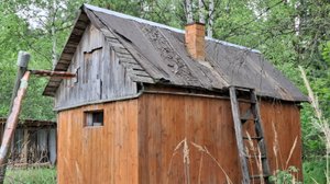 Баня в лесной части участка ( обзор снаружи и внутри)