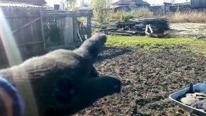#Огород и первый опыт посадки картофеля под мотоблок!