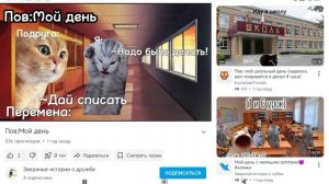 мемы с котами мой день 2