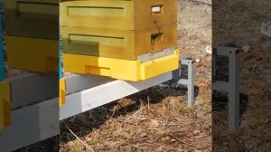 Подставка для ульев Lyson и Нижегородец своими руками