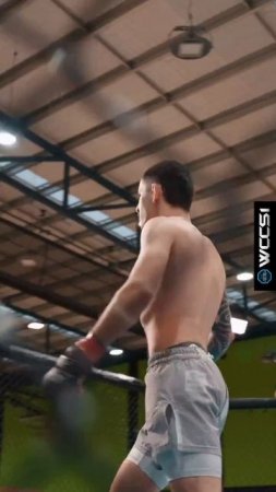 Лучшие нокауты Подпишись и ставь лайк #ufc #mma #youtube #sports #tiktok #shortsvideo #russia #box