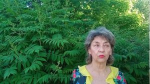 НКО: Формула Успеха и Командного Духа