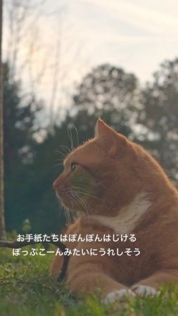 元野良チャーリーさんのひとり言＃１