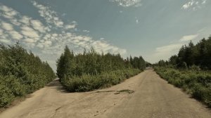 В погоне за