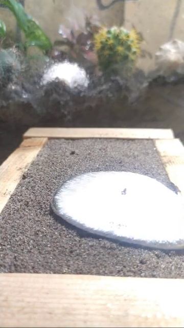 литьё алюминия в песок Short video relax смотреть онлайн