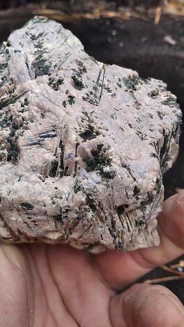 N262. Актинолит на тальке. Свердловская область. смотреть онлайн